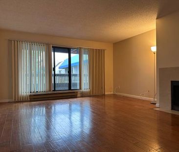 This 836 Sft huge one bed corner unit apartment located in the heart o - Photo 1