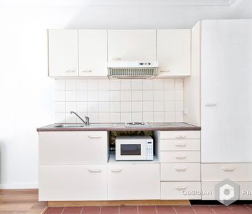 4/450 Pacific Highway, Lane Cove North NSW 2066 - Apartment For Ren... - Photo 1