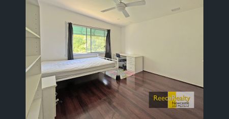 Abundant Space - Photo 2