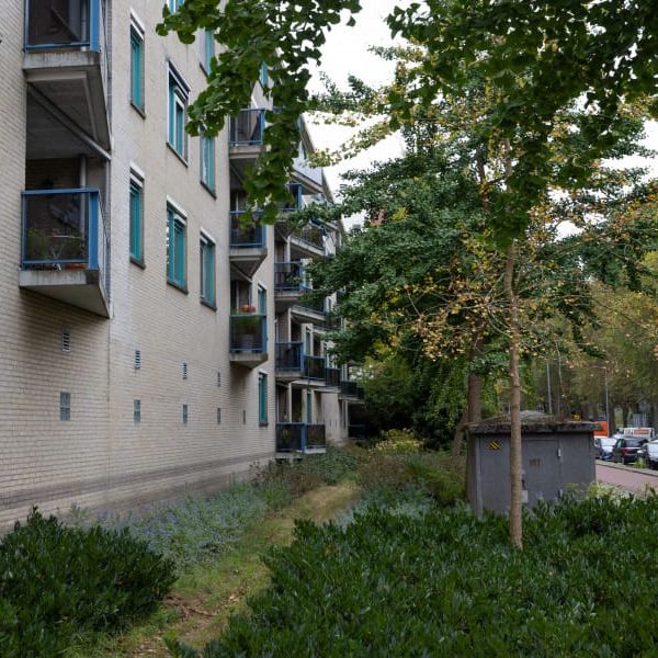 Remmet van Milplaats 20, Het Lage Land, 3067AS, Rotterdam - Photo 1