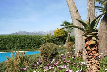 1 room luxury Flat for rent in Nerja, Spain