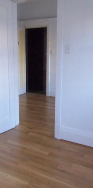7/127 Bower Street, - Photo 1