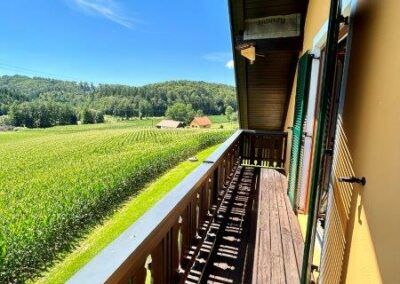Großes Einfamilienhaus mit Nebengebäude in absoluter Ruhelage. - Photo 4