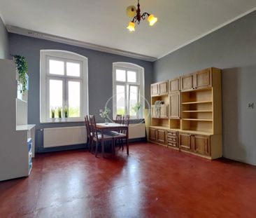 Przyjazne zwierzętom, duża kawalerka, - Photo 5