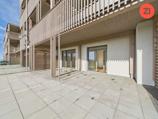 *Über der Nebelgrenze* 2- Zimmer Wohnung mit Terrasse und Garten - Photo 1