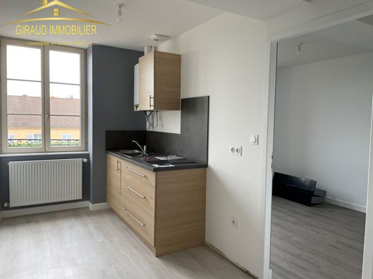 Location Appartement 2 pièces 35m² MARCIGNY 71110 - Photo 1
