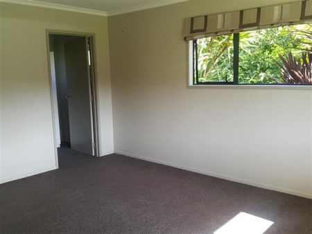 Mangorei Three Bedroom Retreat - Photo 4