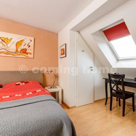 Perfect Single Living - Photo 5