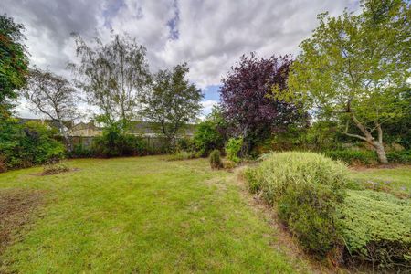 2 bedroom semi-detached bungalow to rent - Photo 3