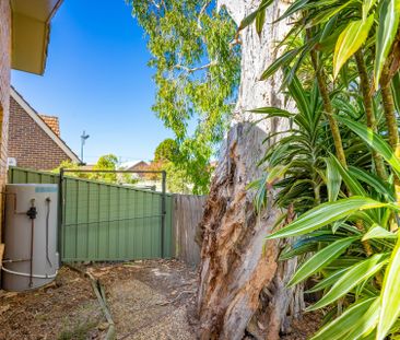 Freshly Updated 2 Bedroom Unit with Private Courtyard - Photo 6