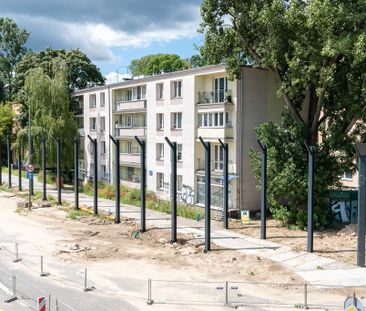 Ładne mieszkanie, Saska Kępa, 2 niezależne pokoje - Photo 5