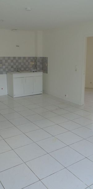 Location Appartement 3 pièces 50m² ST PAUL DE VARAX 01240 - Photo 1