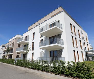 Helle 2-Zimmer-Wohnung mit Balkon und Aufzug – Erstbezug in Wiesbaden - Photo 1