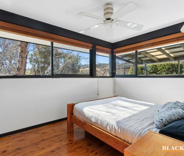 14 Jelbart Street, Mawson ACT 2607 - House For Rent | Domain - Photo 4