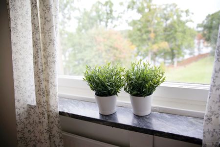 Bäckgatan 38 - Foto 3