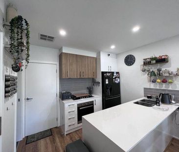 Modern 3 Bedroom Home with Large Private Courtyard - Photo 3