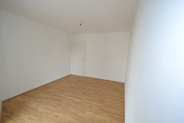 Zentrum – 66m² – 3 Zimmer WG oder Pärchenwohnung – großer Süd-Balkon - Photo 1