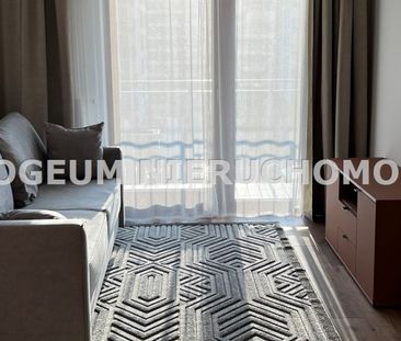 Mieszkanie na wynajem - Zdjęcie 6