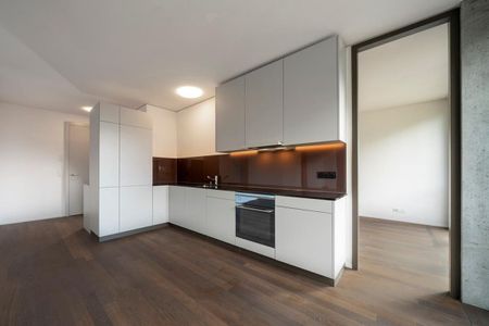 Above the roofs of Mels - Photo 3