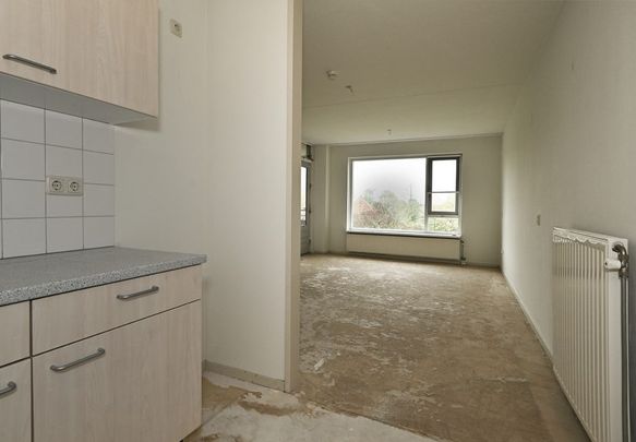 Saxenstate 9 - Foto 1