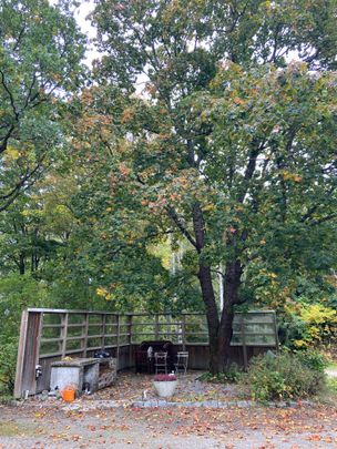 Kiselbacken, Sundsbruk - Foto 1