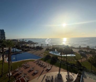 Torrevieja - Photo 5