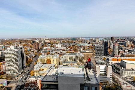 Appartement à louer - Montréal (Ville-Marie) (Centre) Appartement à louer - Montréal (Ville-Marie) (Centre) - Photo 2