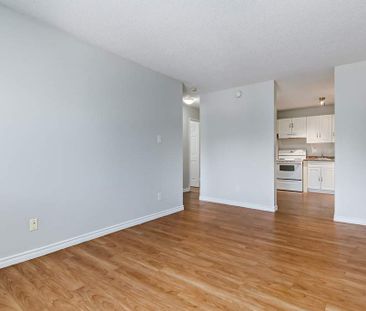 Renovated Suite - 1 Bedroom - Photo 3