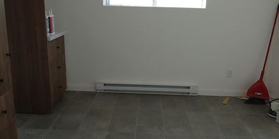 Beau 3 1/2 Renové - Photo 3