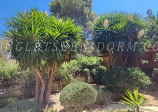 REF. 1797-Albir-3.500€