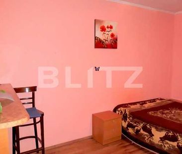 Garsoniera, 28 mp, Pet Friendly, zona strazii Grigore Alexandrescu - Fotografie 3