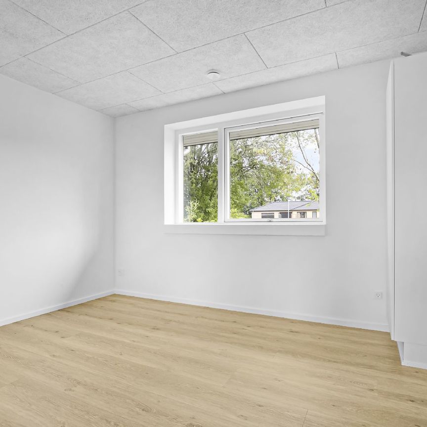 Fantastisk nybygget hus på Hjertegræsvej - Photo 1