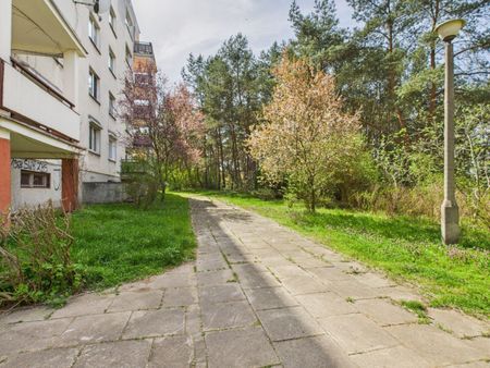 *Panoramiczne okno z tarasem - widok na las* - Фото 2