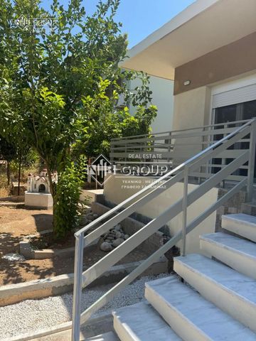 Μονοκατοικία για ενοικίαση Αιάντειο (Σαλαμίνα) - Photo 3