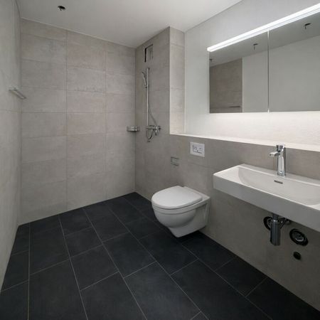 Zimmerbergstrasse 12 , 8800 Thalwil - Photo 4