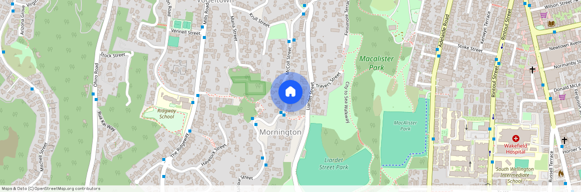 39 McColl Street, Vogeltown, Wellington