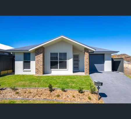 48 Enderle Drive, Lochinvar, NSW 2321 - Photo 2