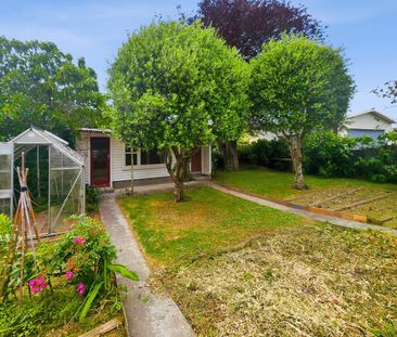 Boulcott Living - Photo 4