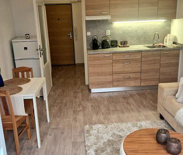Pronájem bytu 1+kk 23 m² - Fotografie 5