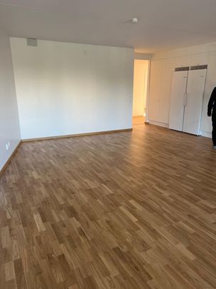 Rödlönnsgången, Göteborg - Foto 1