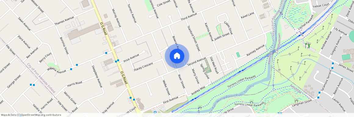 21 Bowran Avenue, SA 5087, Klemzig