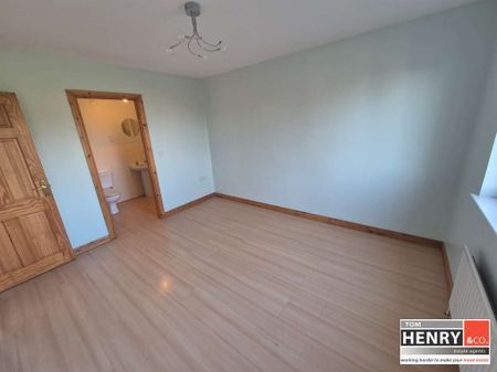 22 HOLLYFIELDS, OLD EGLISH ROAD, DUNGANNON, BT71 7BH - Photo 4