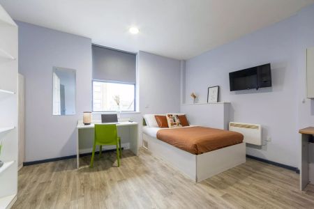 Platinum Accessible Studio - Photo 4