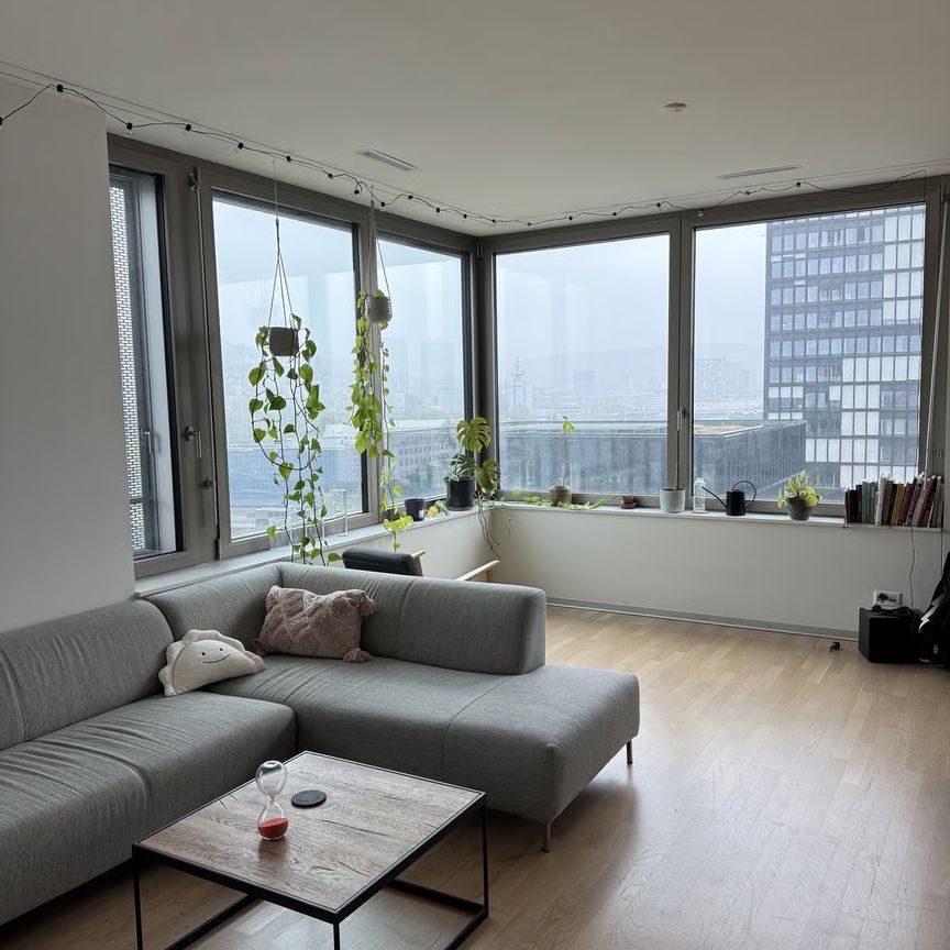 1 Zimmer, 95 m², 9. Stock - Foto 1