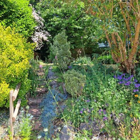 4 bedroom semi-detached house to rent - Photo 3