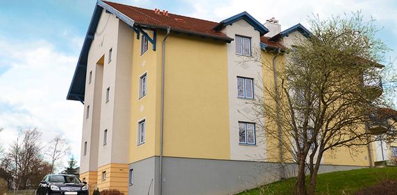 Wohnung in Echsenbach - Photo 2