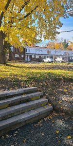 Chambre a Louer - Photo 3