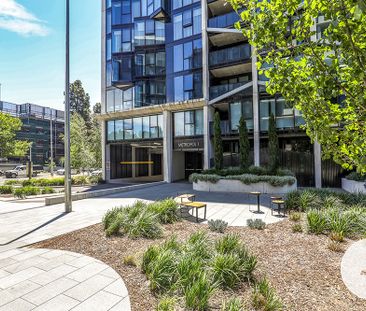 230/81 Cooyong Street, Reid ACT 2612 - Apartment For Rent | Domain - Photo 1