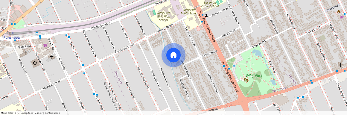 21A Ferguson Ave, NSW 2195, Wiley Park