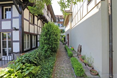 Charmantes Altbau-Bijou in der historischen St. Alban-Vorstadt - Photo 4